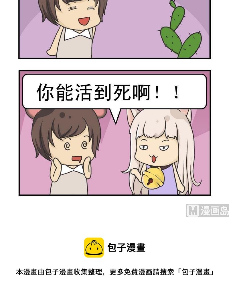 4 算命