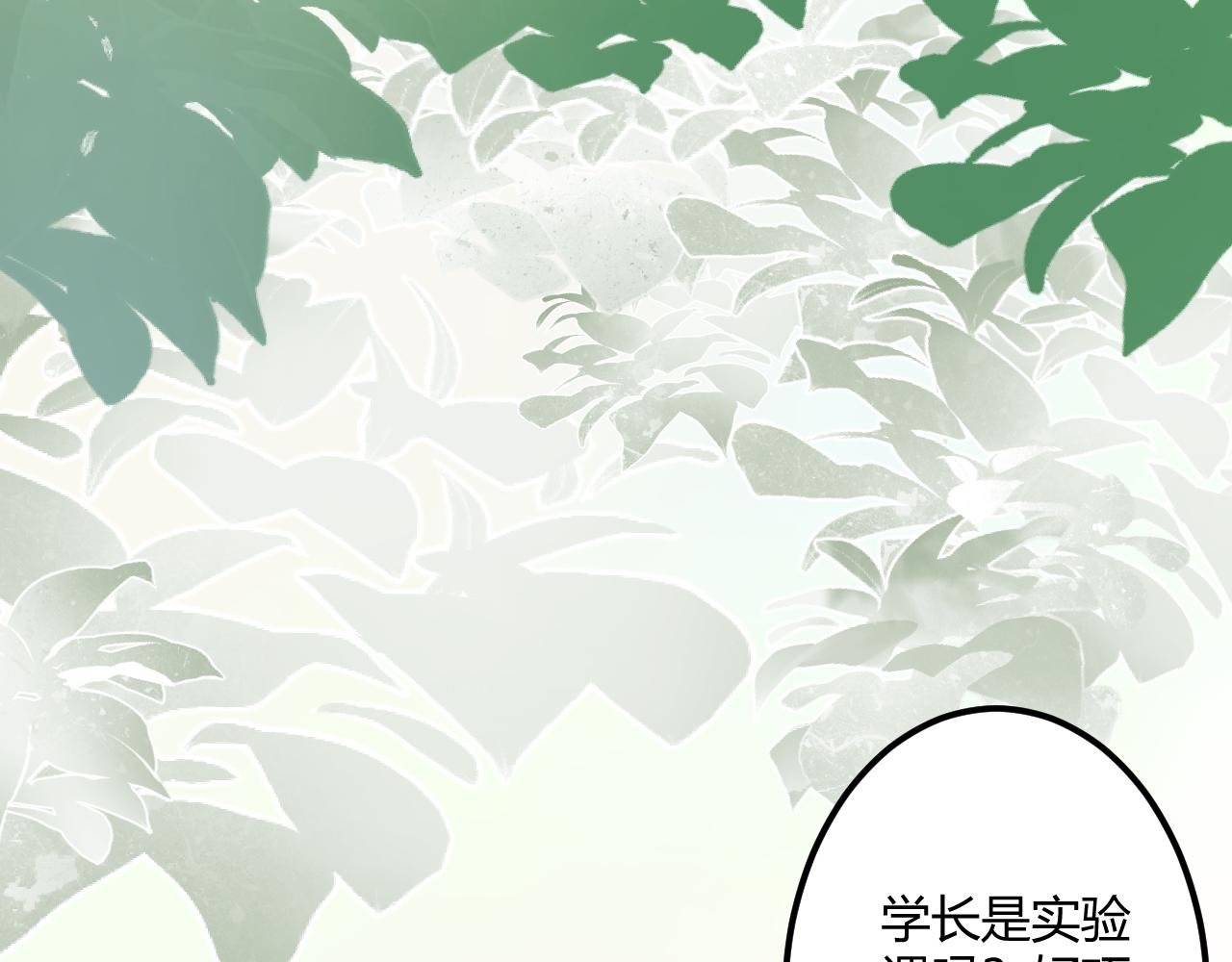 我们喜欢同一个人