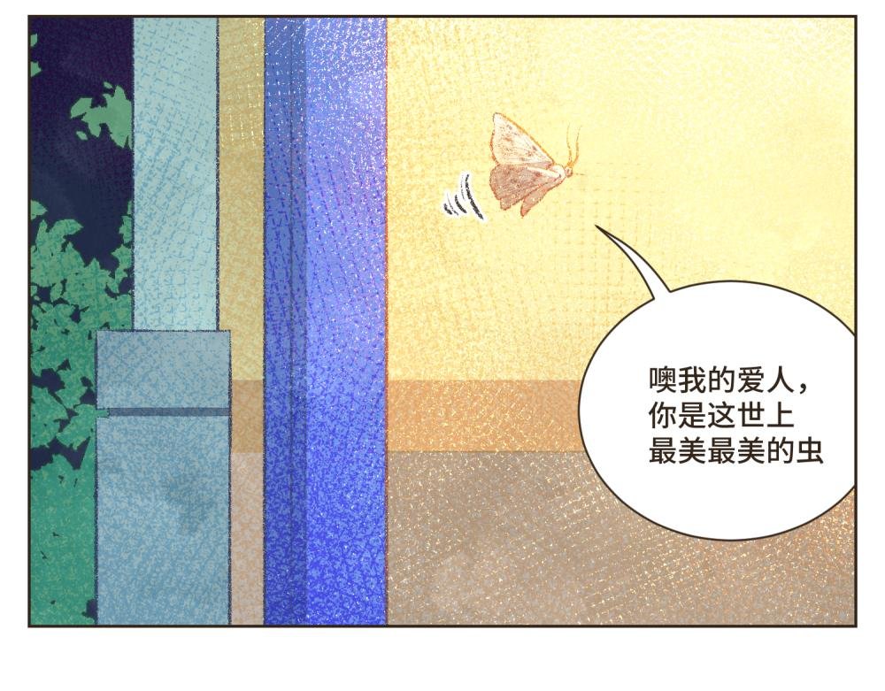 11~15 我要义无反顾的奔向你，因为这就是爱情啊！