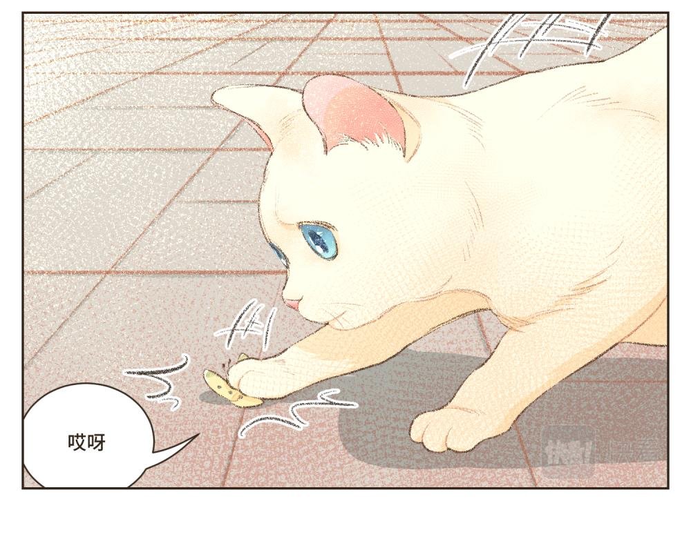 6~10 我与人类成为了朋友~