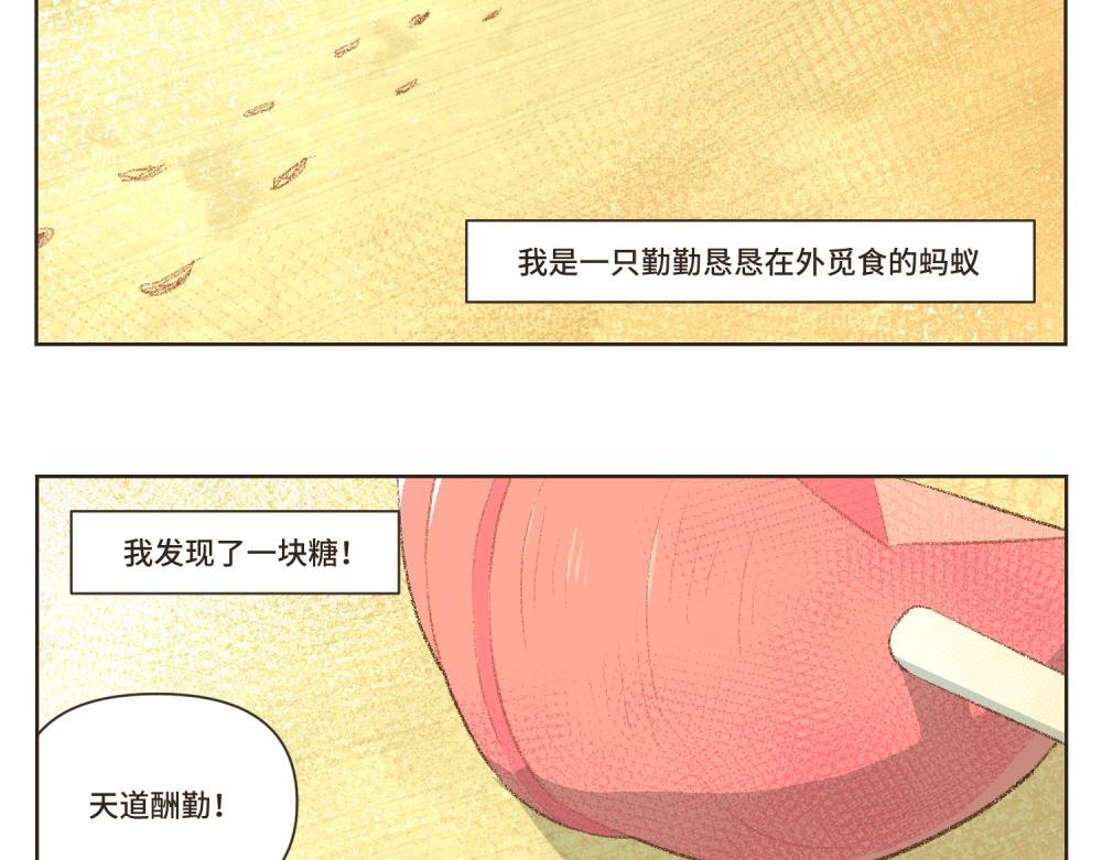 1~5 我的美丽无人能敌