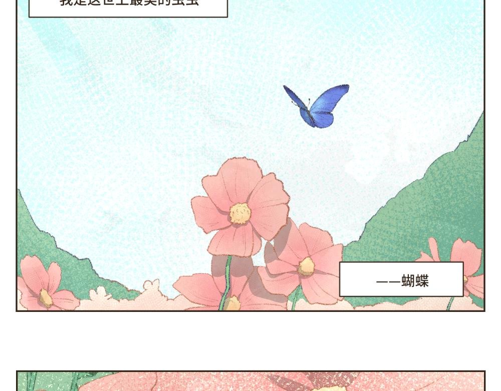 1~5 我的美丽无人能敌