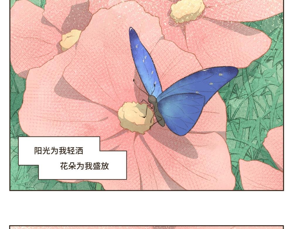 1~5 我的美丽无人能敌