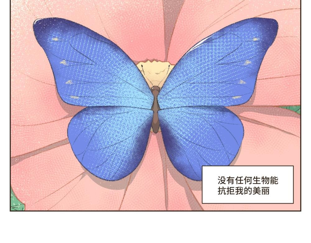 1~5 我的美丽无人能敌
