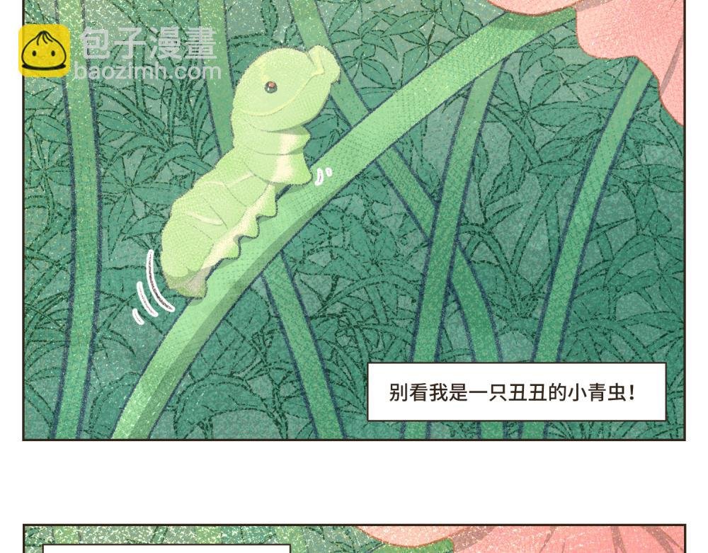 1~5 我的美丽无人能敌