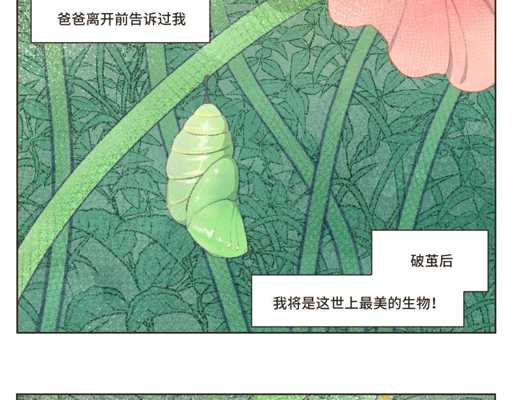 1~5 我的美丽无人能敌