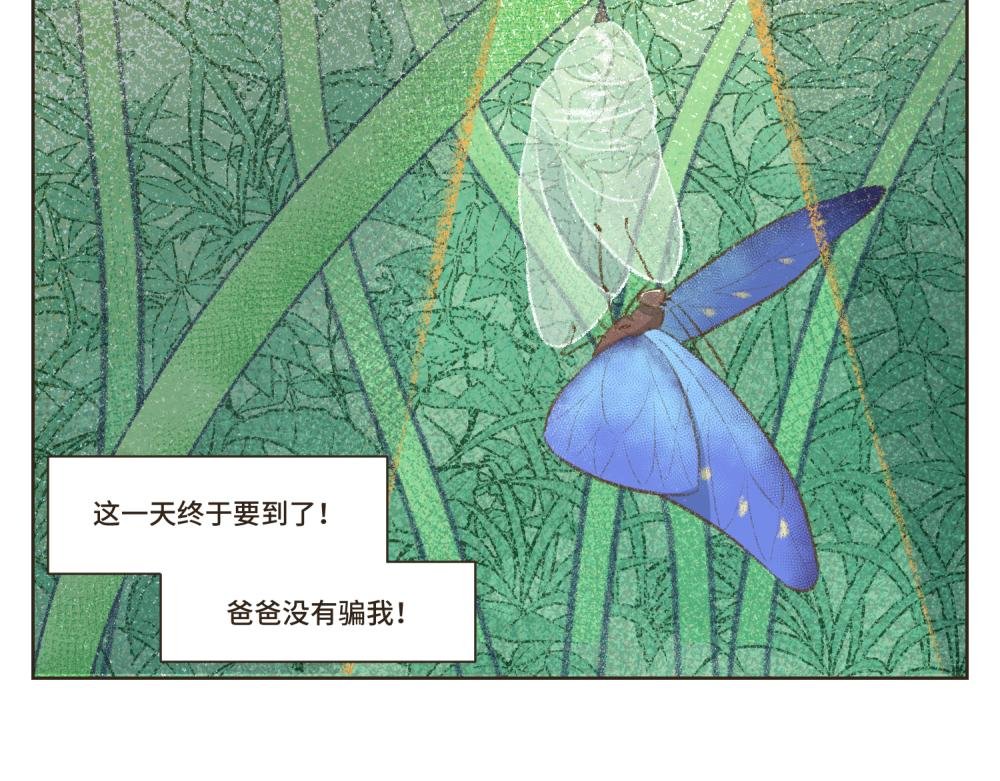 1~5 我的美丽无人能敌