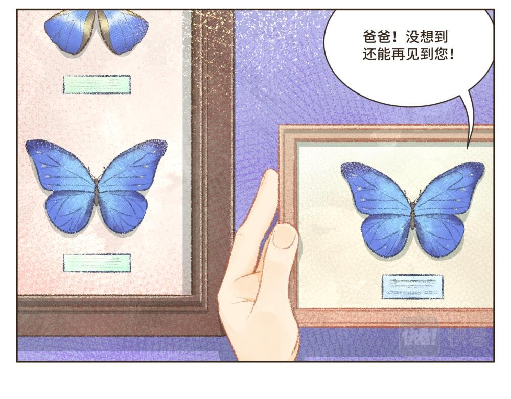 1~5 我的美丽无人能敌