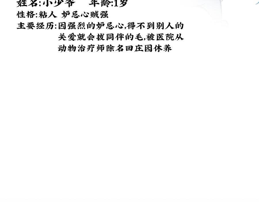 人设