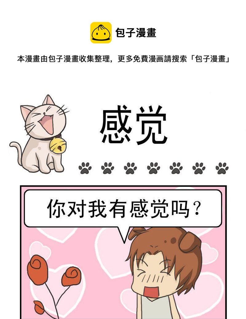 3 感觉