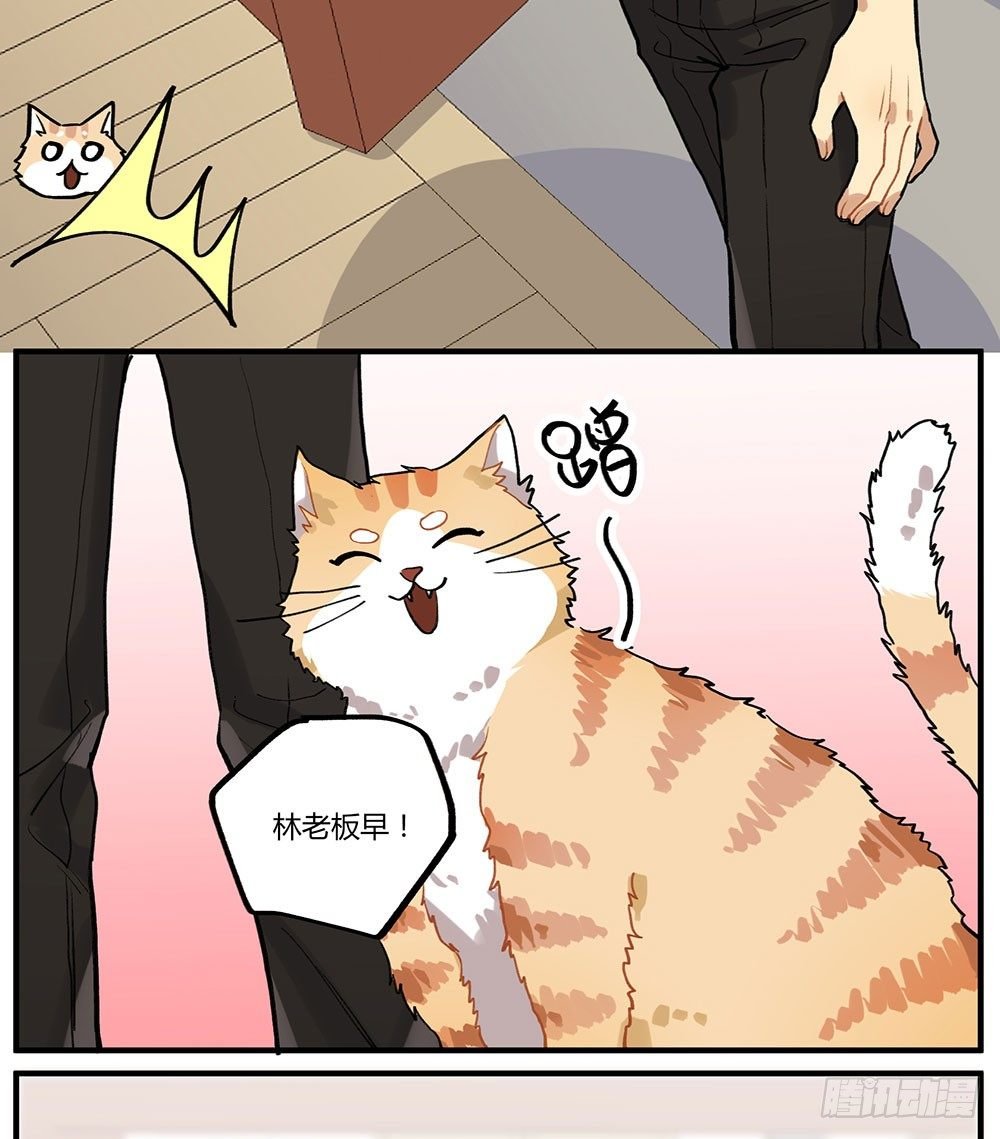 地府势力登场