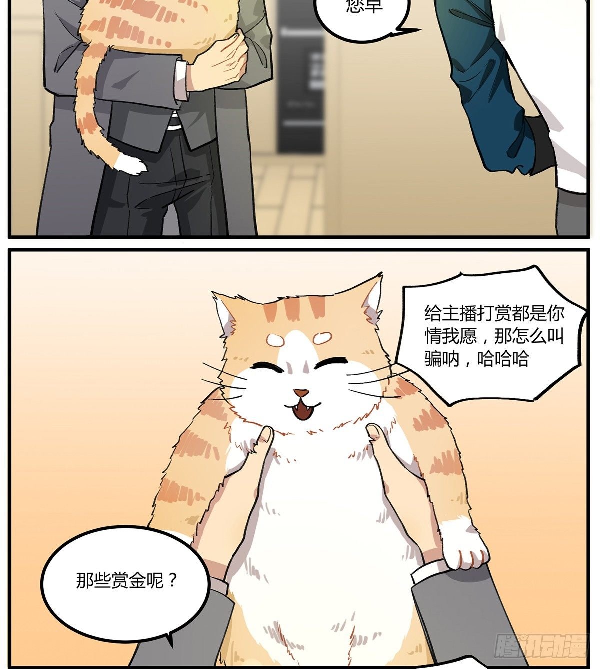 四次元口袋的本体？