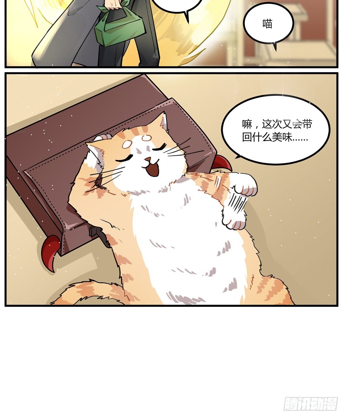 四次元口袋的本体？