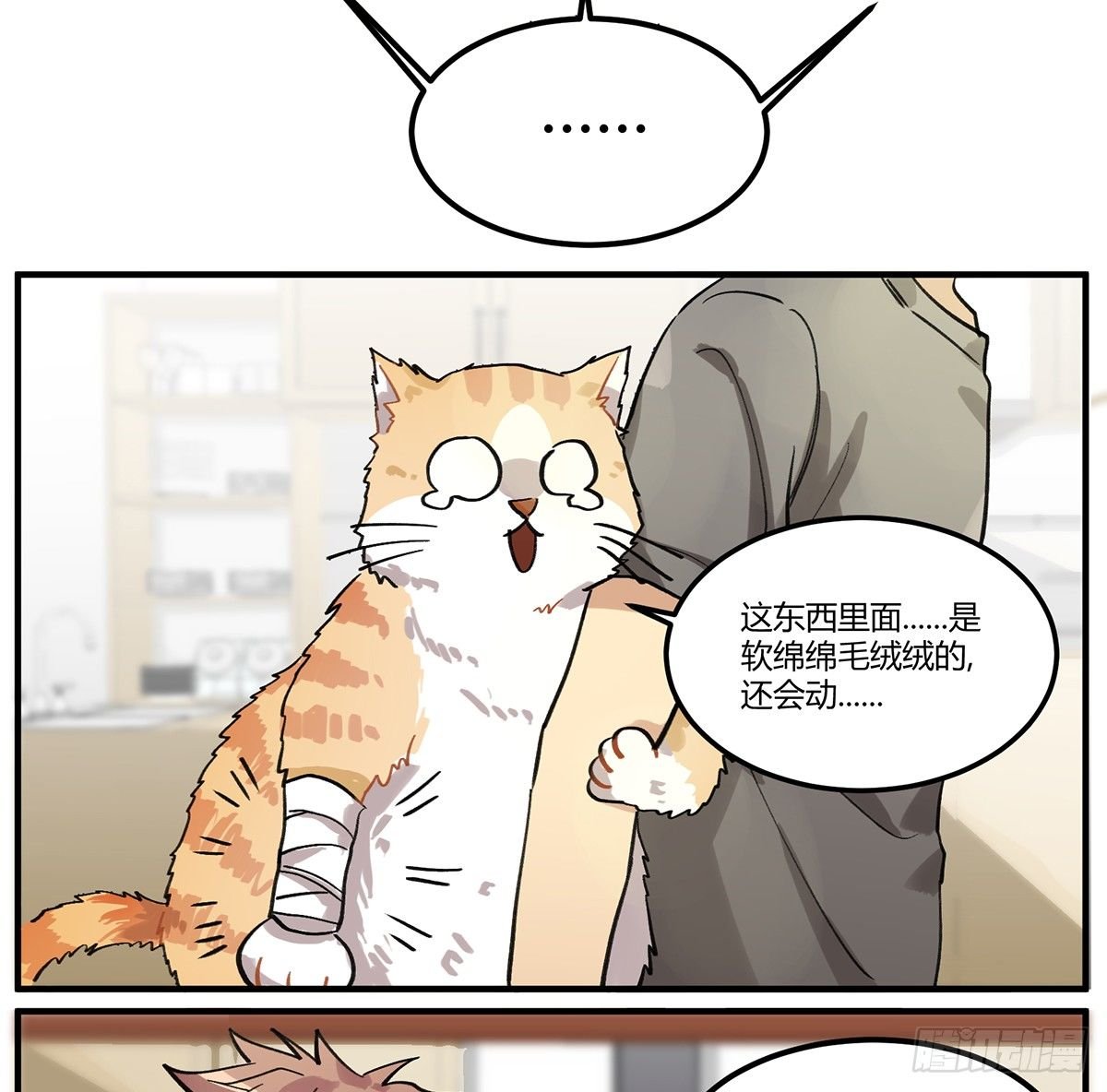 四次元口袋的本体？
