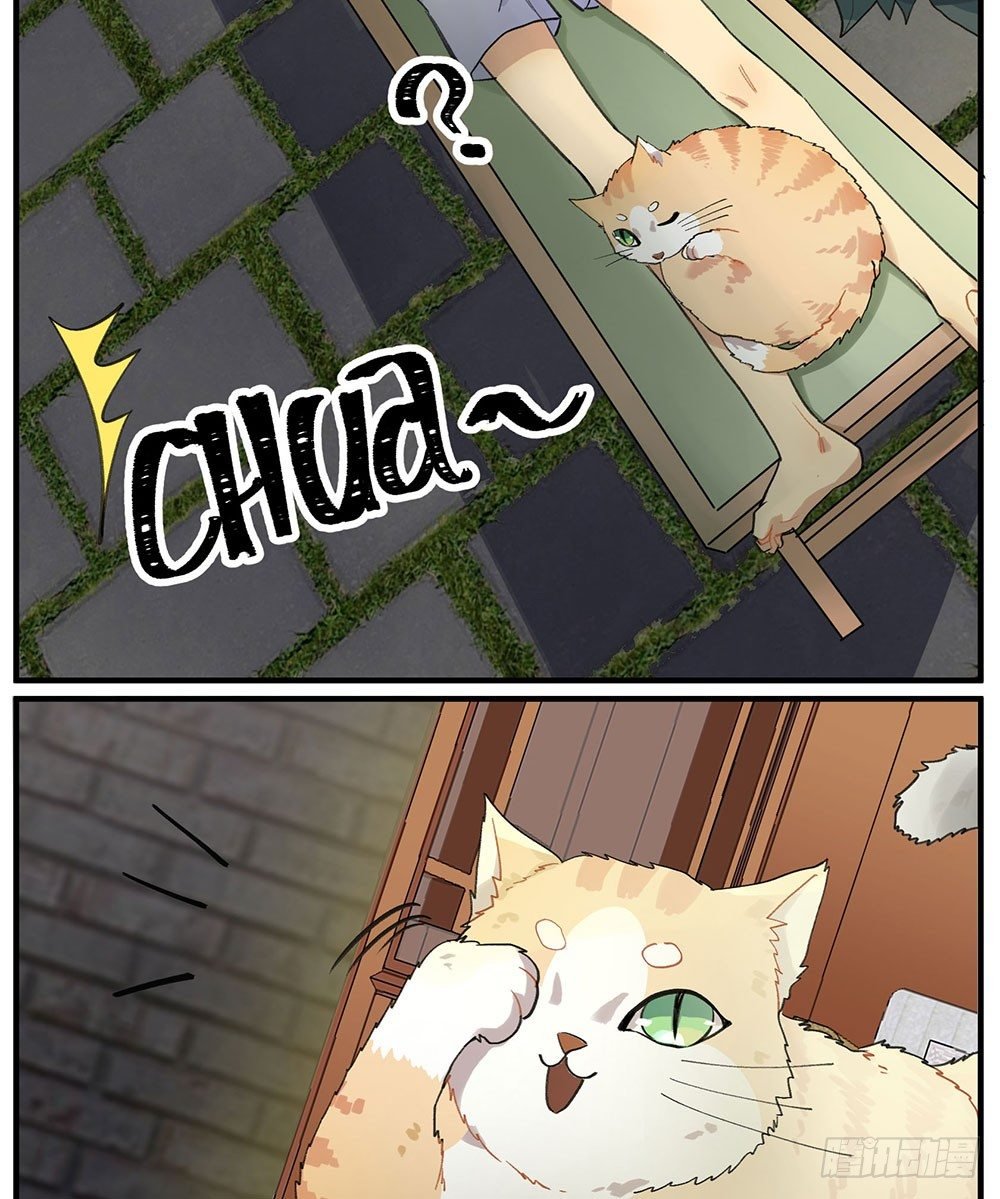 狂战士请离开厨房