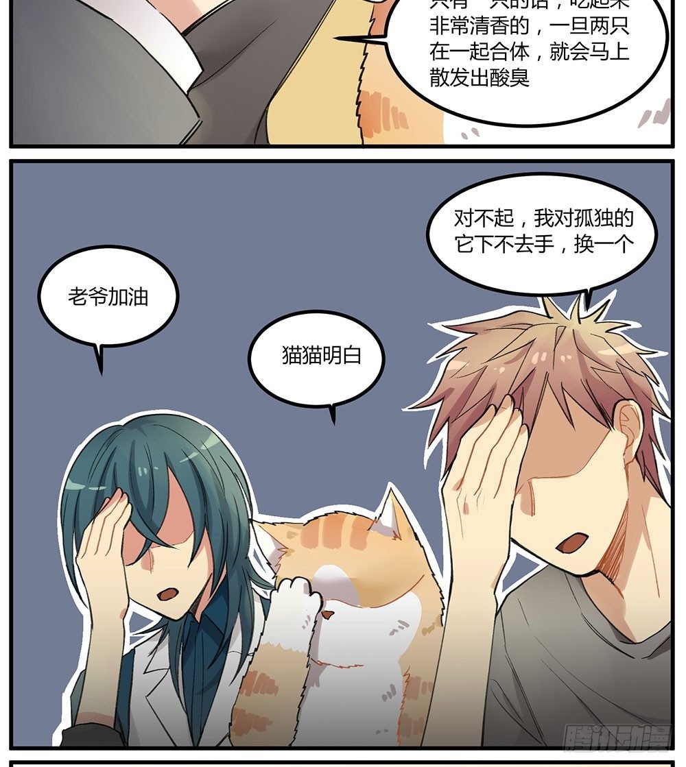 狂战士请离开厨房