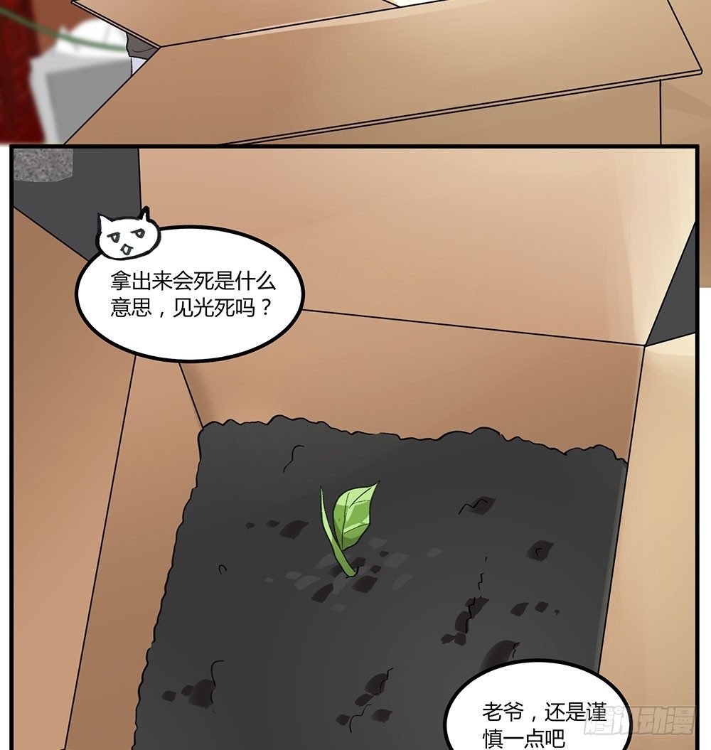 狂战士请离开厨房