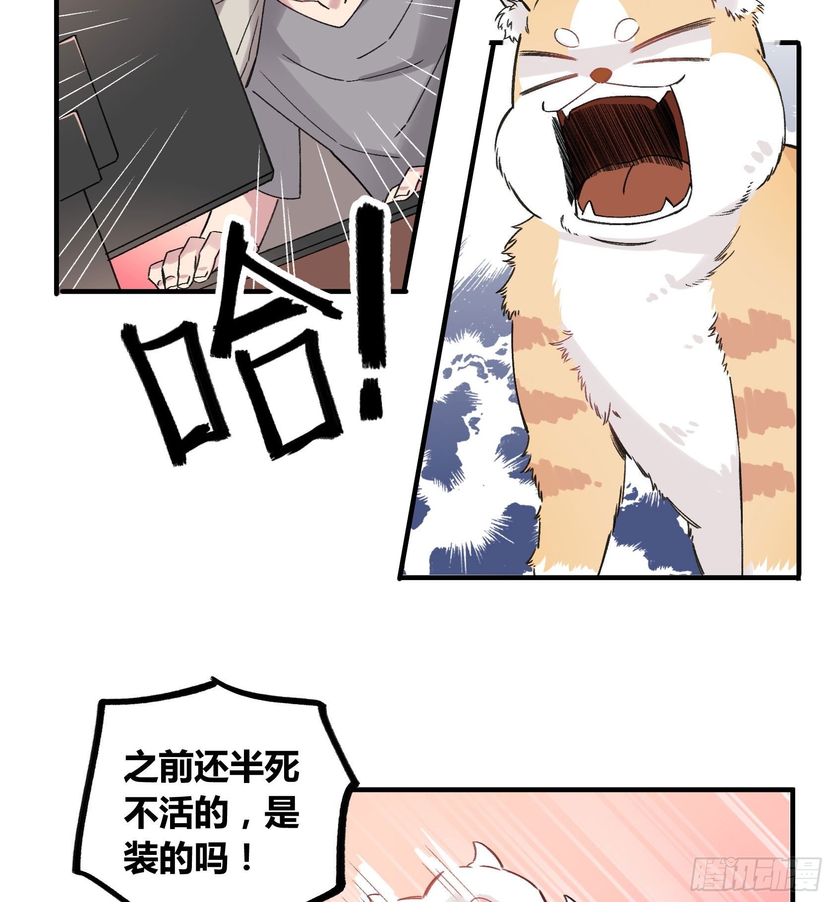 因缘尽断