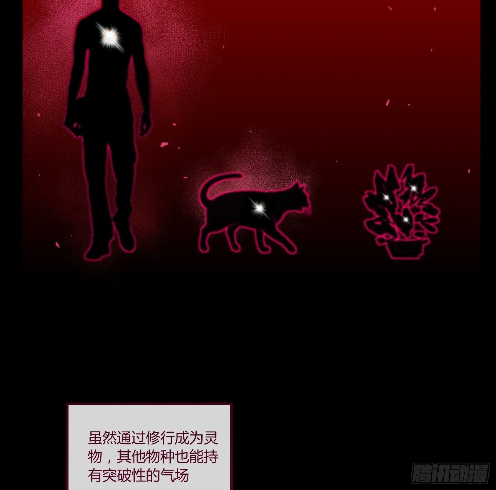 神仙＞人＞妖怪