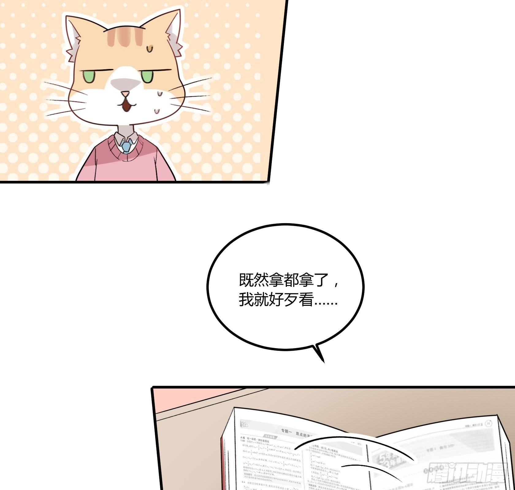 神仙＞人＞妖怪