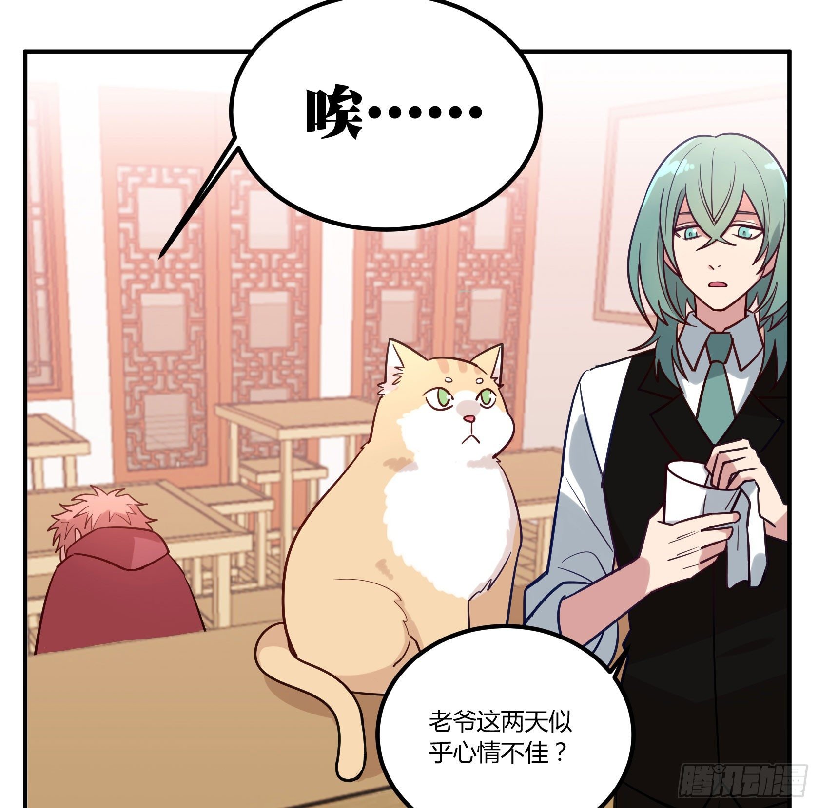猫猫的报恩