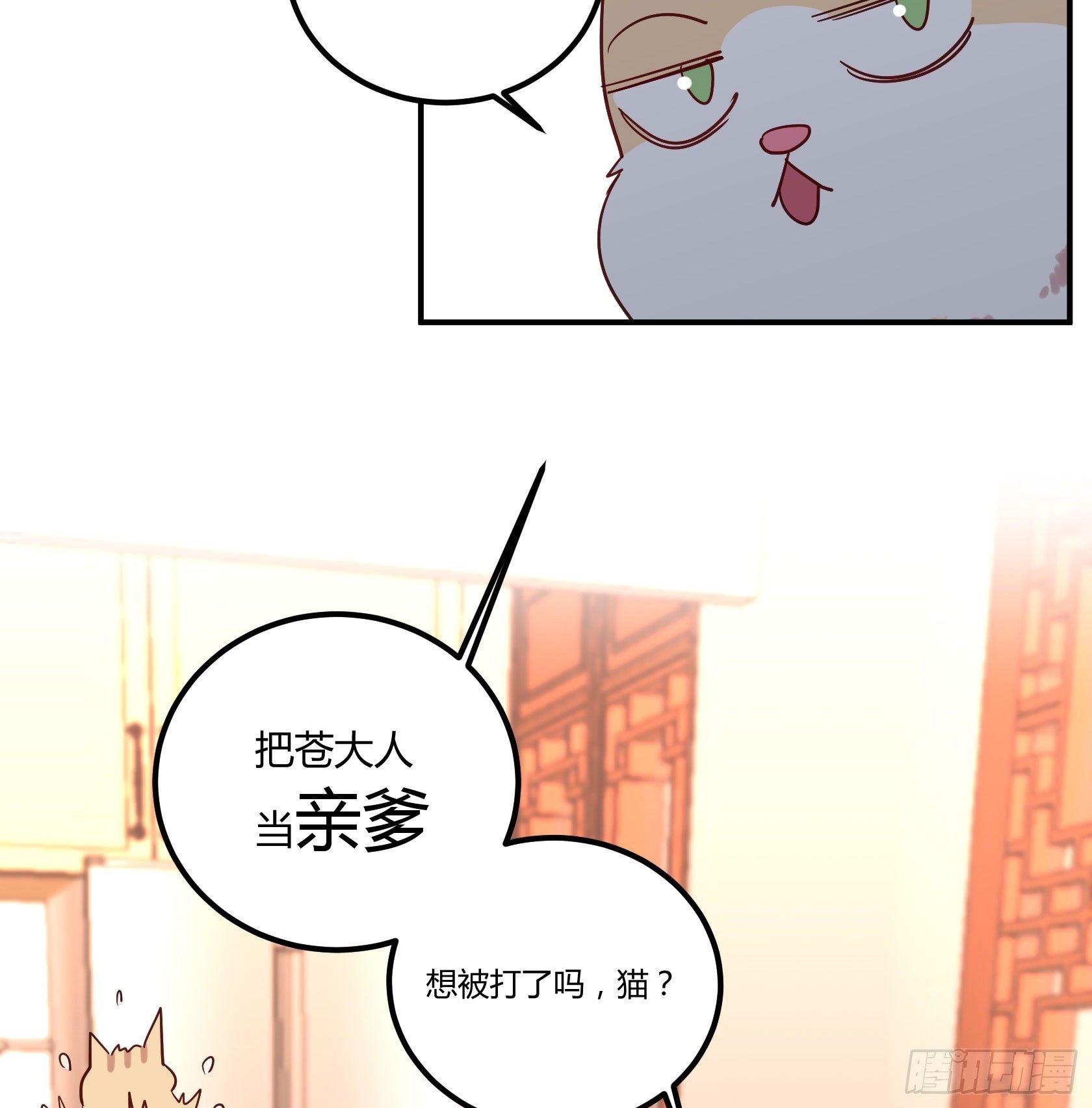 猫猫的报恩