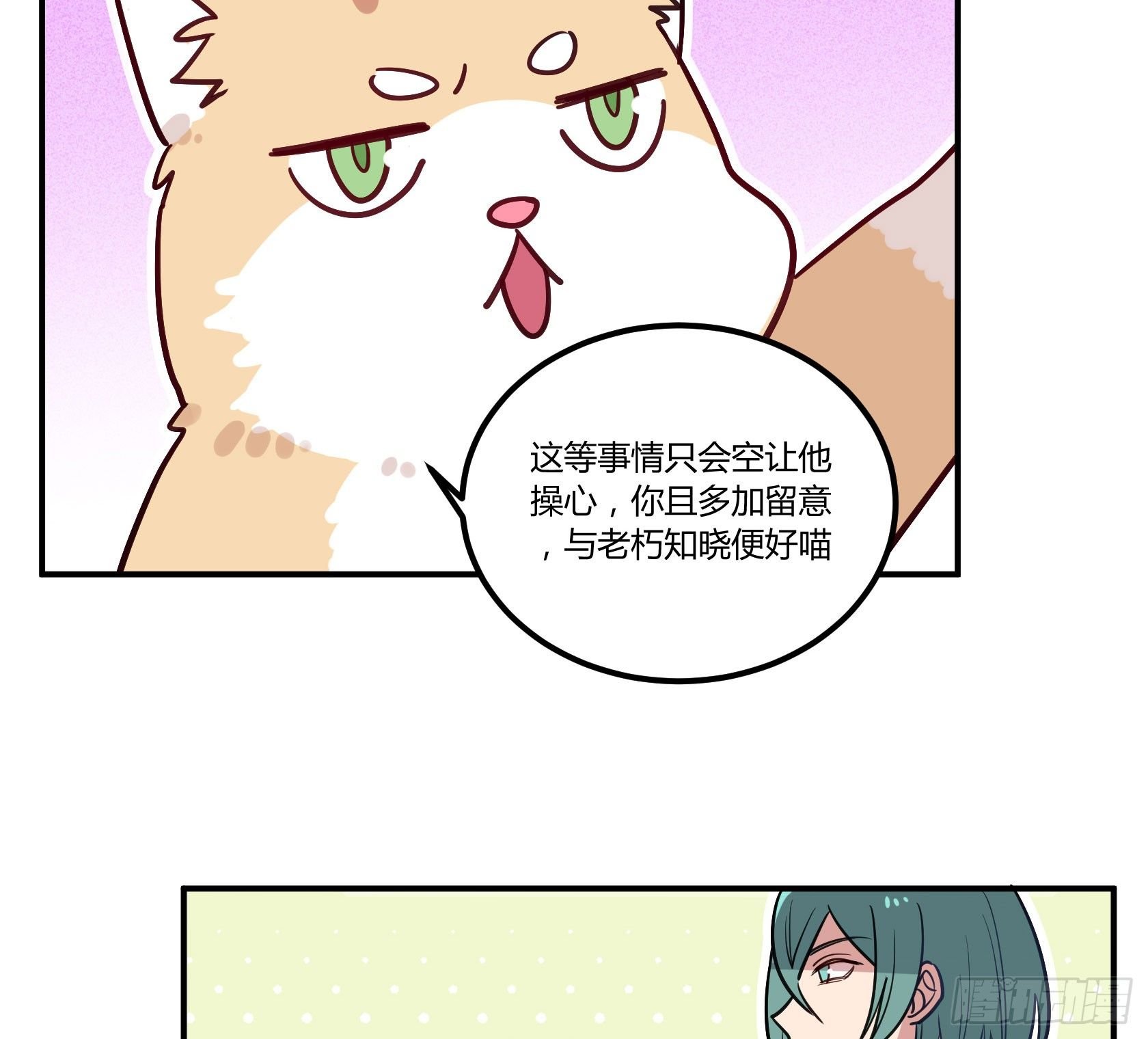 猫猫的报恩