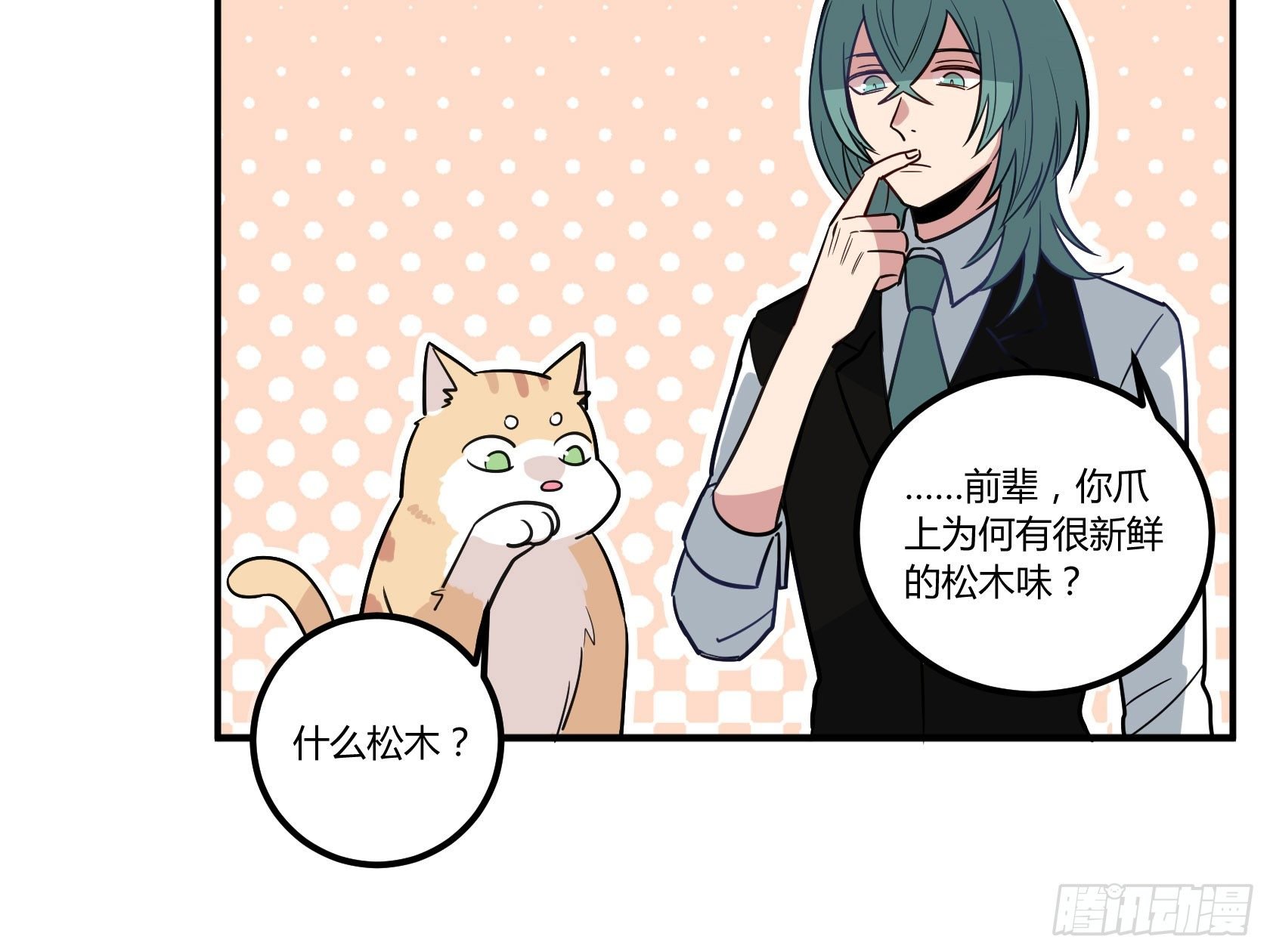 猫猫的报恩
