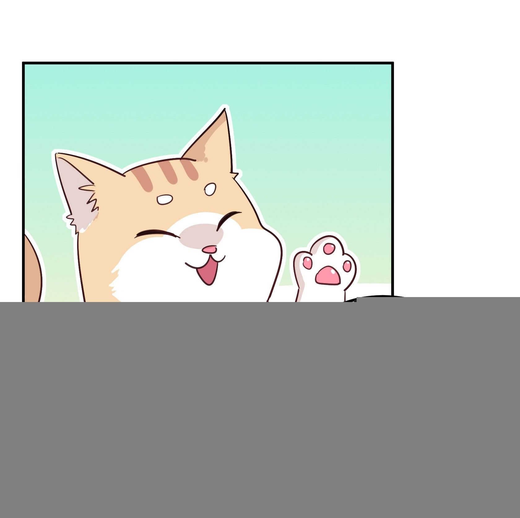 猫猫的报恩