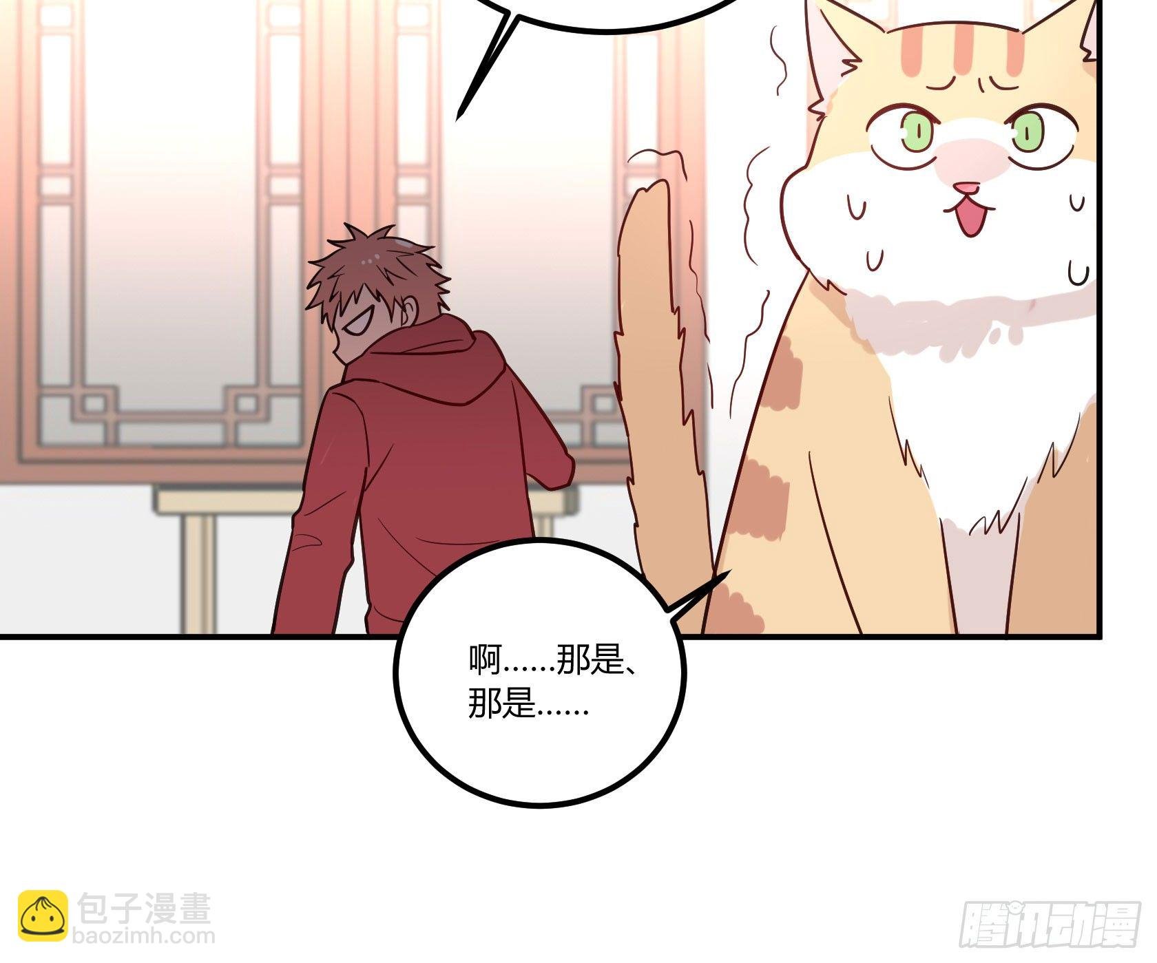 猫猫的报恩