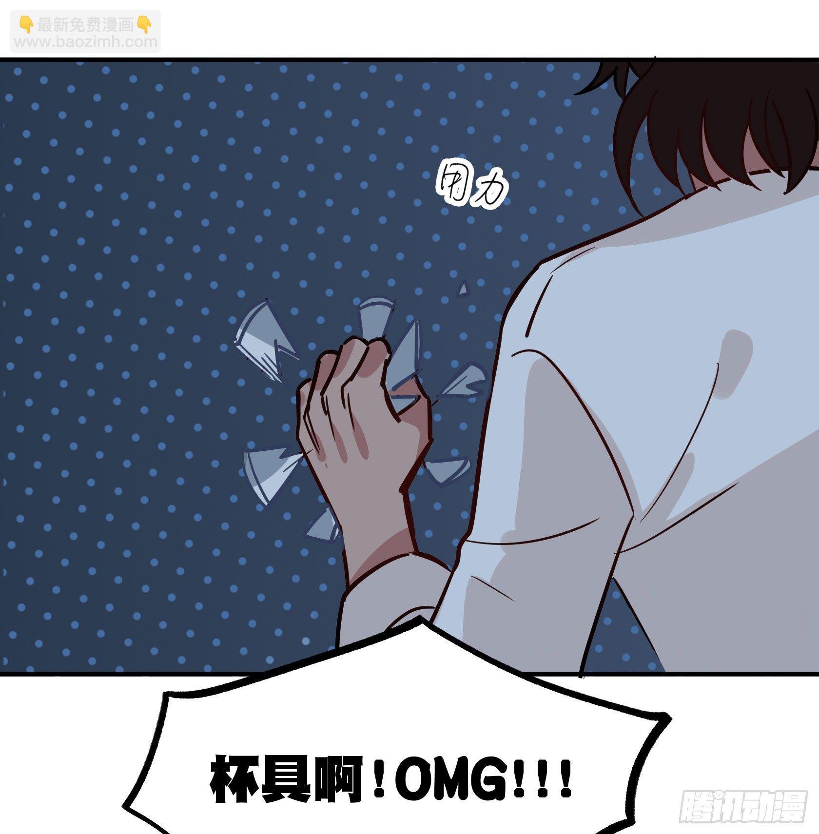 猫猫的报恩
