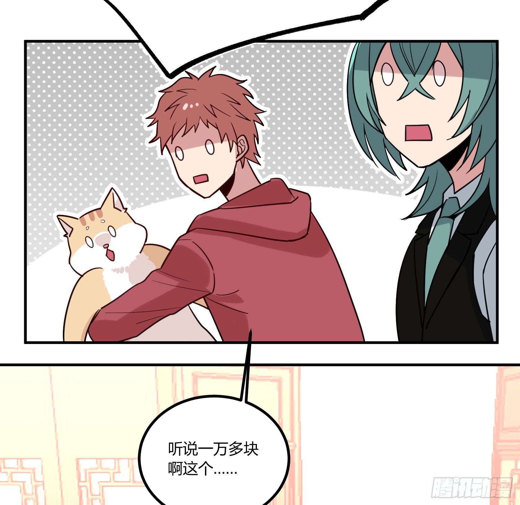 猫猫的报恩