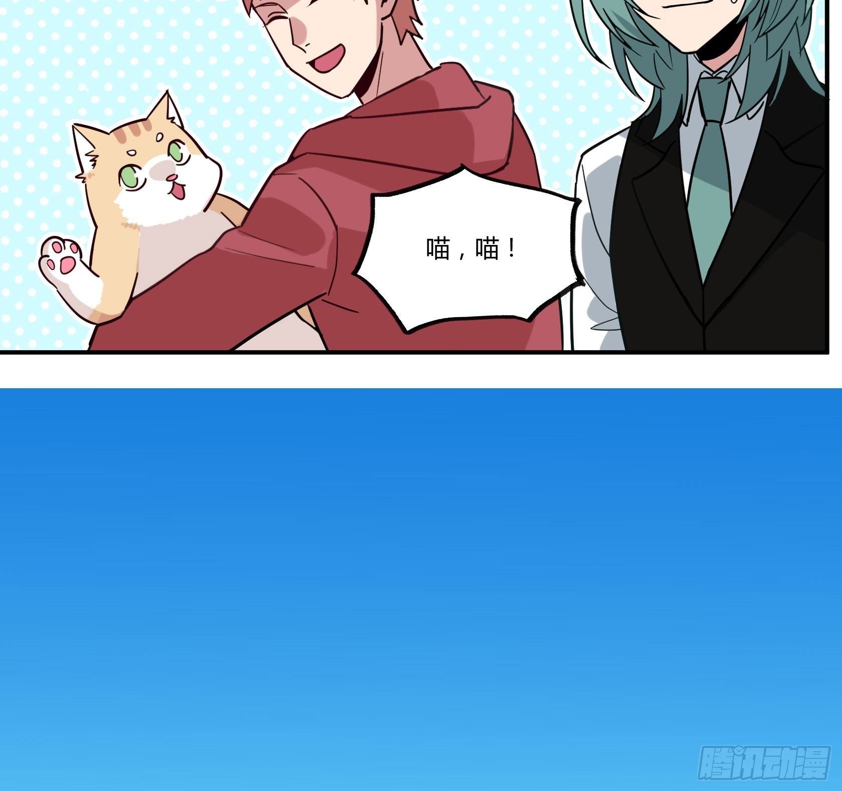 猫猫的报恩