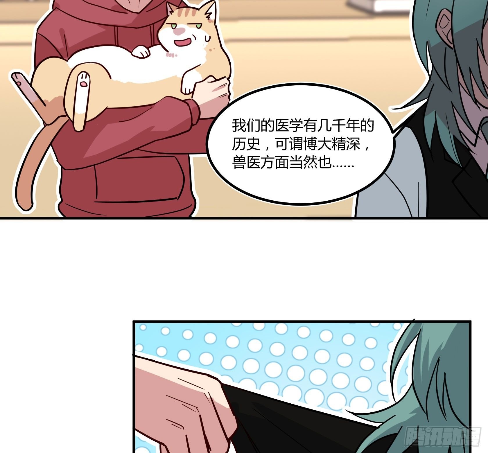 猫猫的报恩