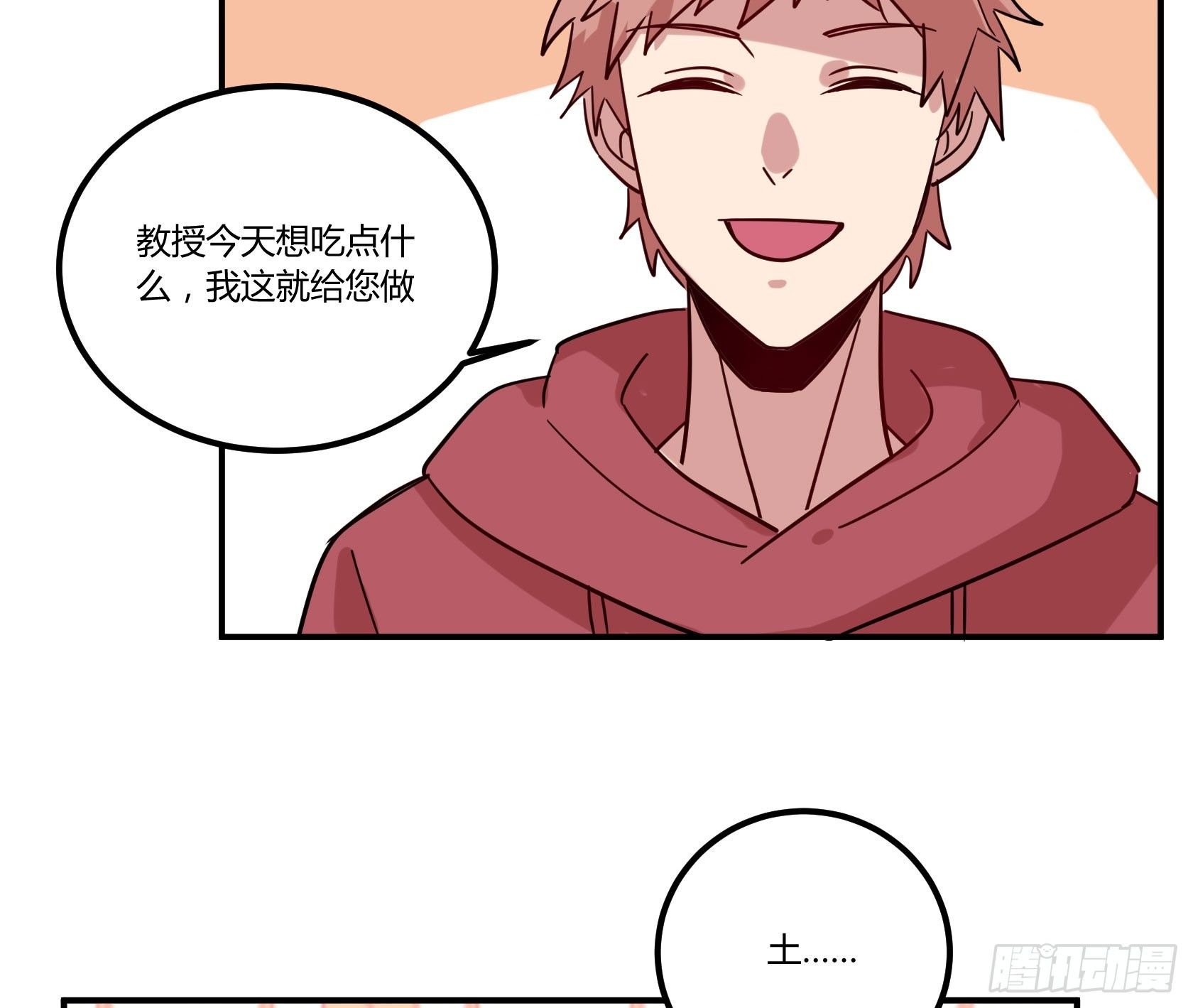猫猫的报恩