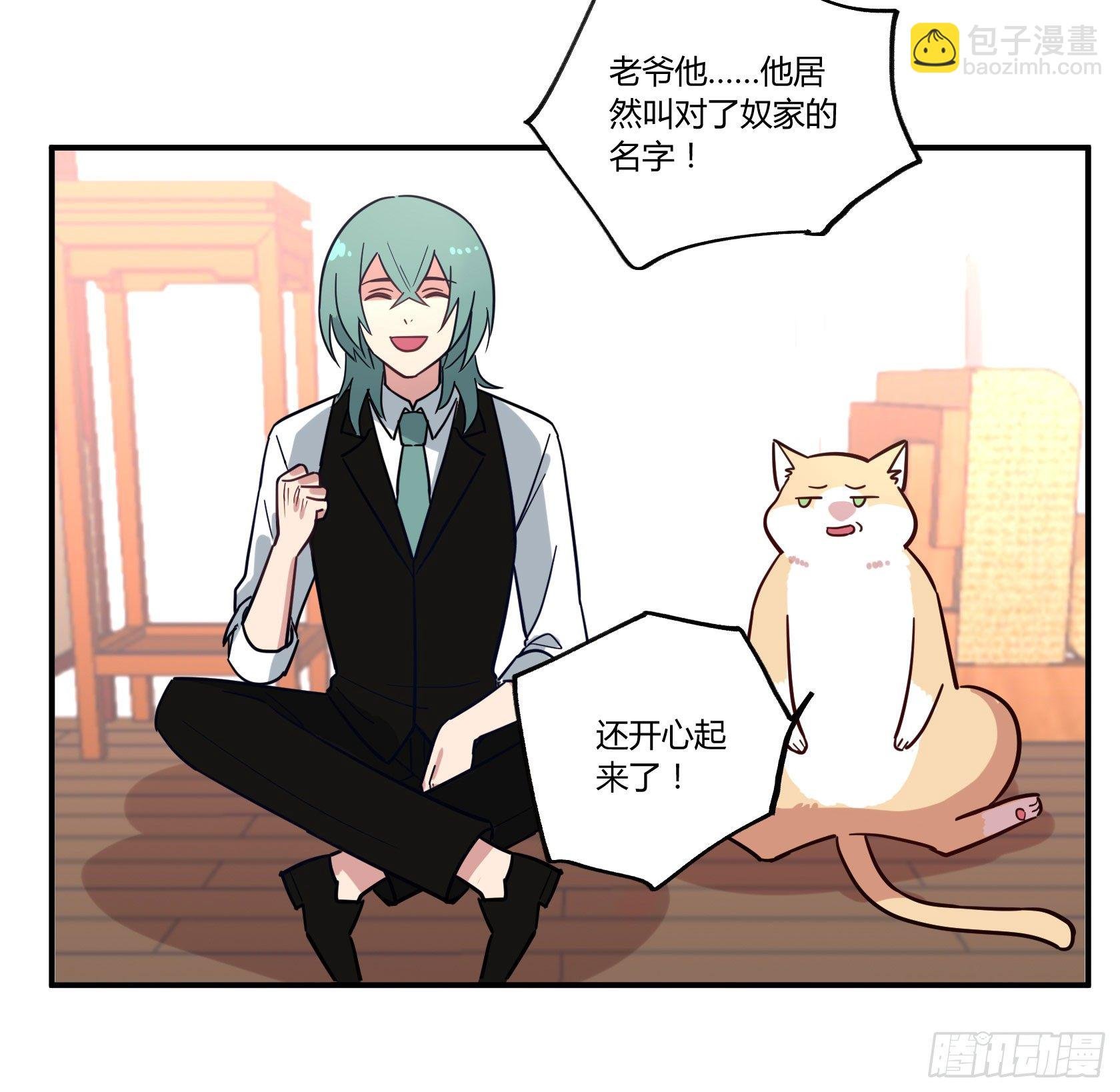 猫猫的报恩