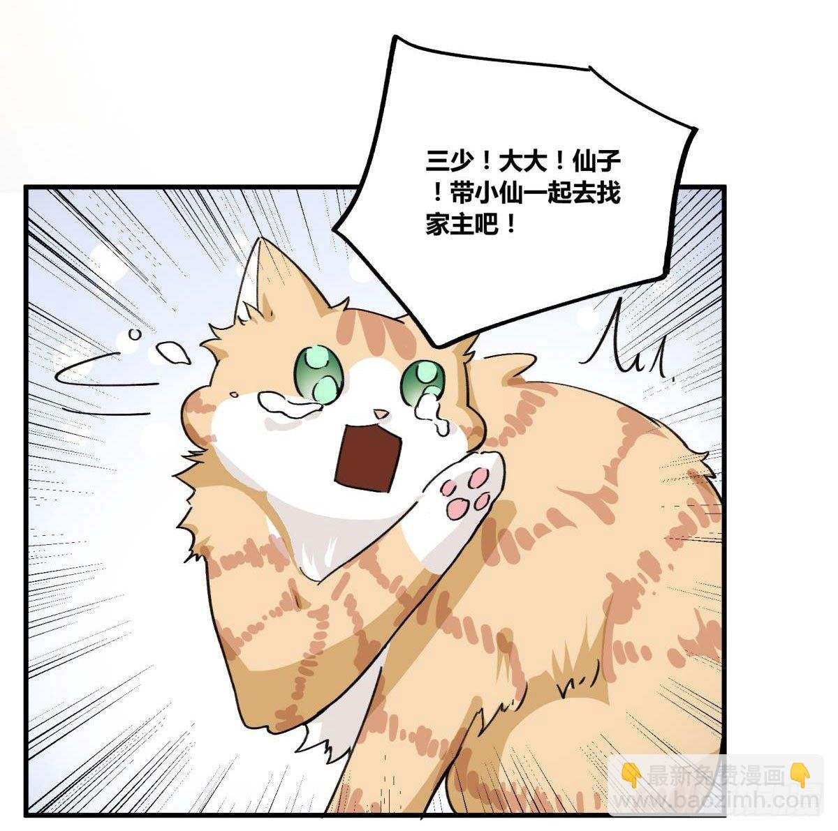 他可是我们家的灶神