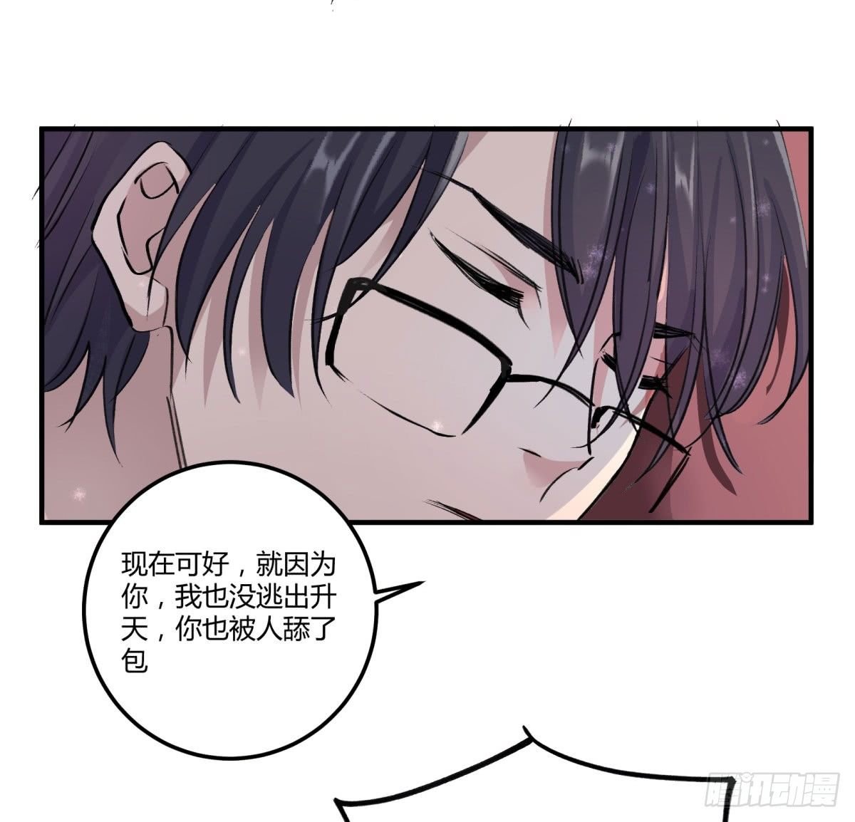 老苍，你真不聪明