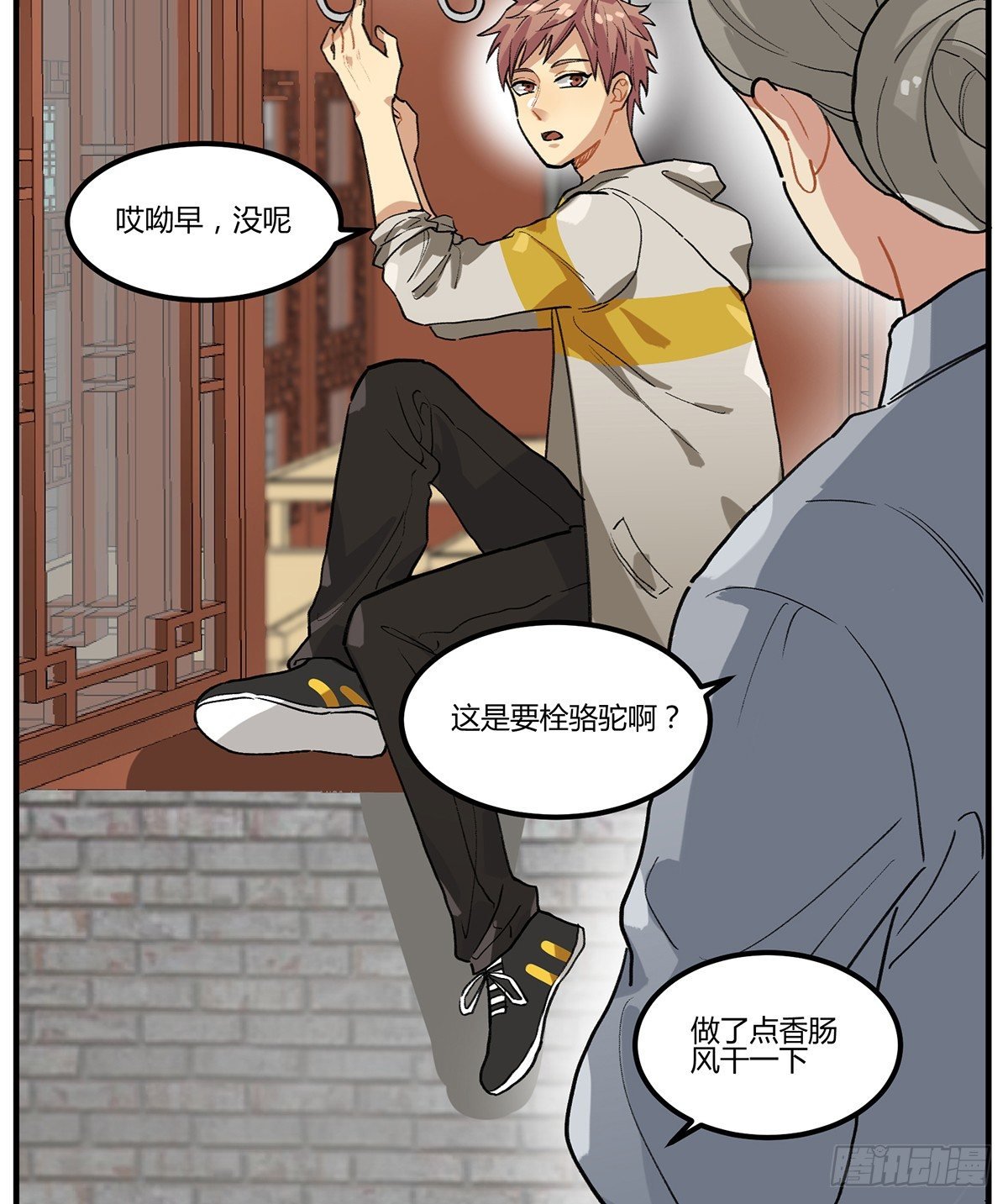 百变橘猫