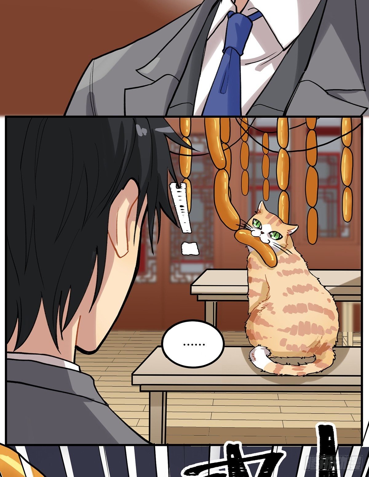百变橘猫