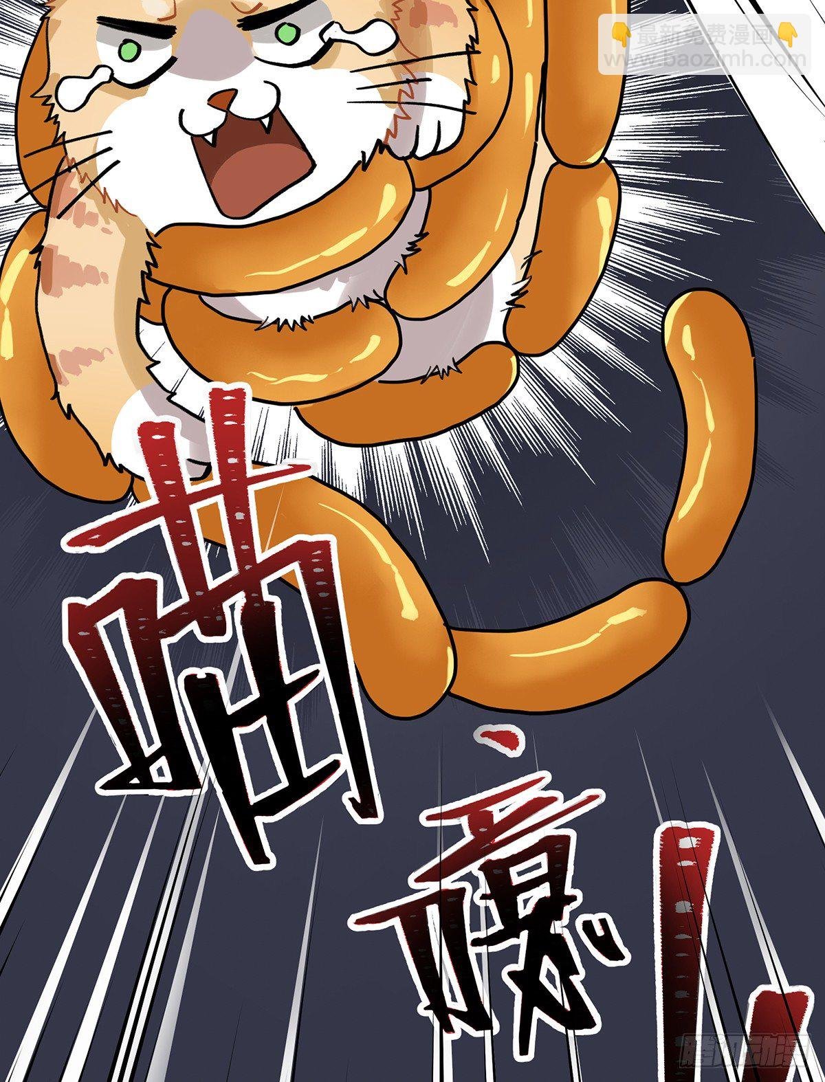 百变橘猫