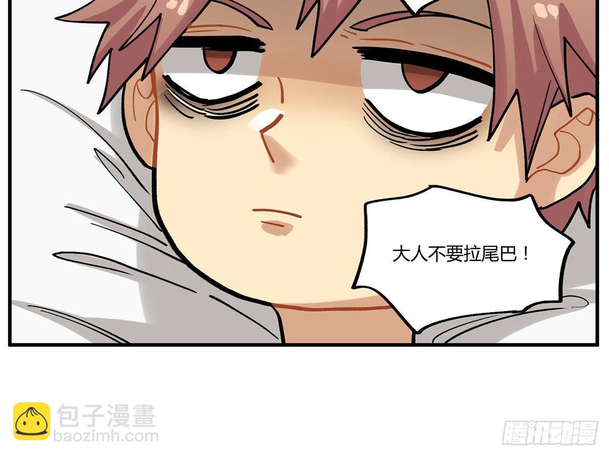 百变橘猫