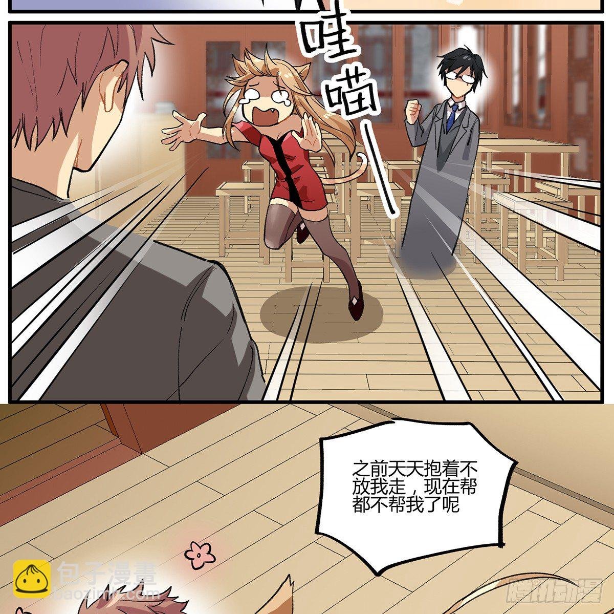 百变橘猫