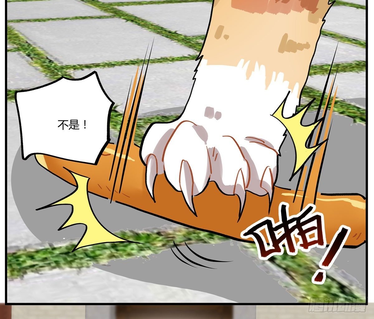来吃火锅吧