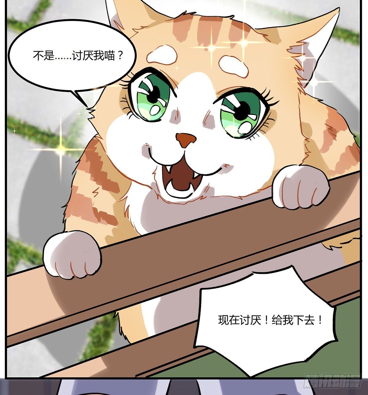 来吃火锅吧