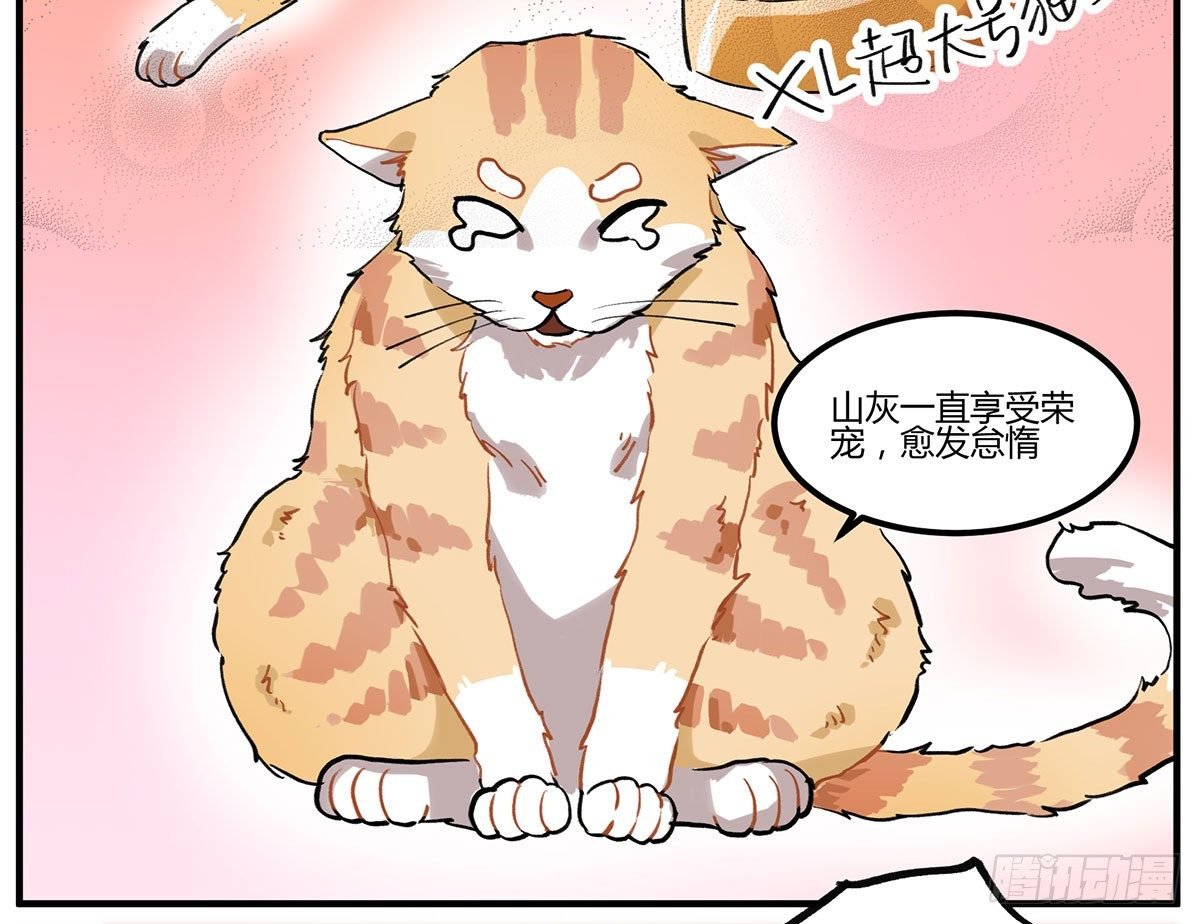来吃火锅吧