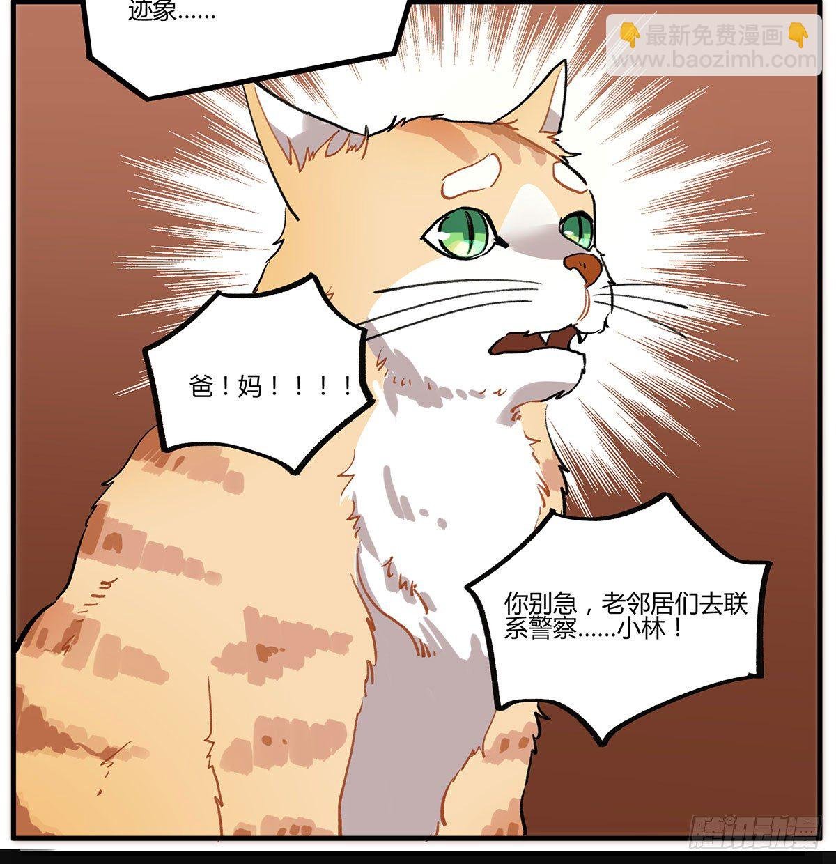 来吃火锅吧