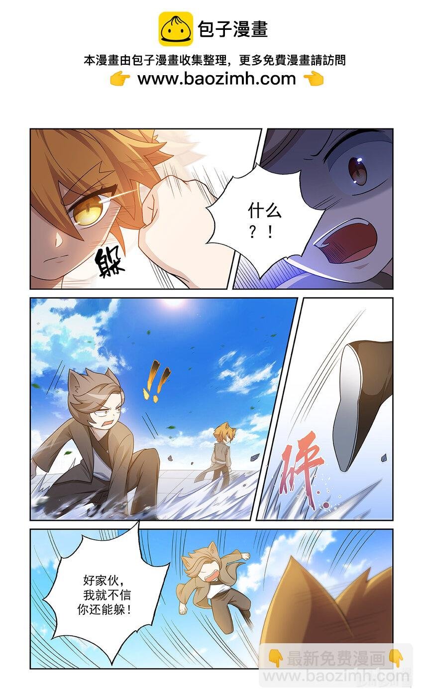 第012话 猫小九的实力