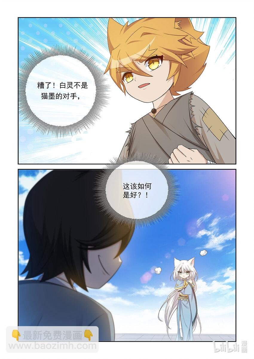 第013话 猫白灵对战猫墨