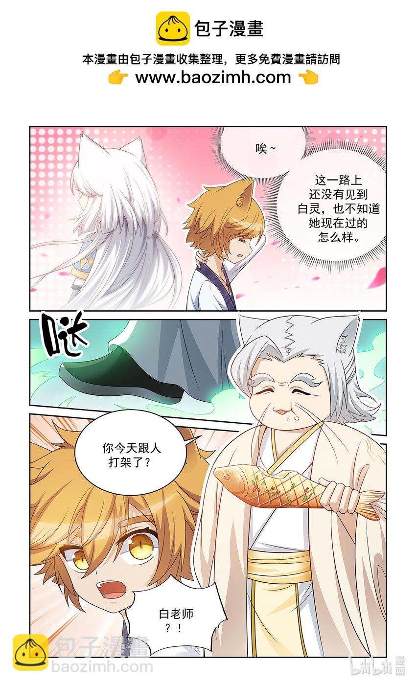第028话 猫元师兄？